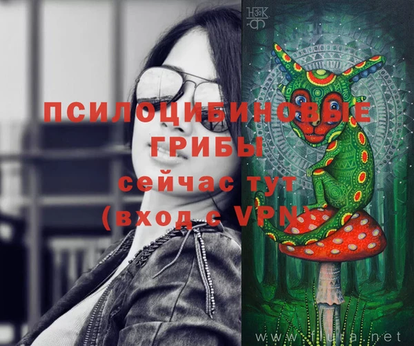 ПСИЛОЦИБИНОВЫЕ ГРИБЫ Абдулино