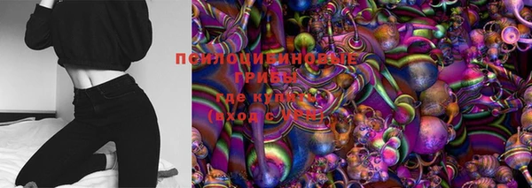 ПСИЛОЦИБИНОВЫЕ ГРИБЫ Абдулино