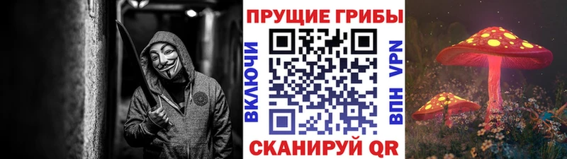 Псилоцибиновые грибы GOLDEN TEACHER  Электроугли 